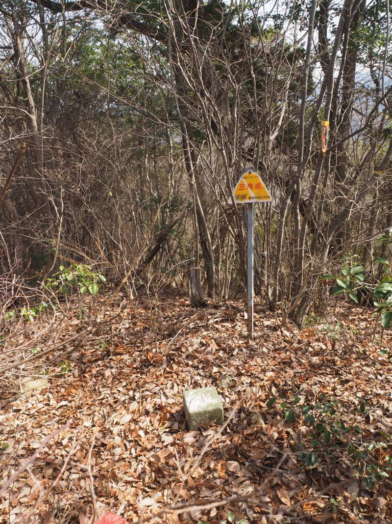 P3056950_2 P3056950_2