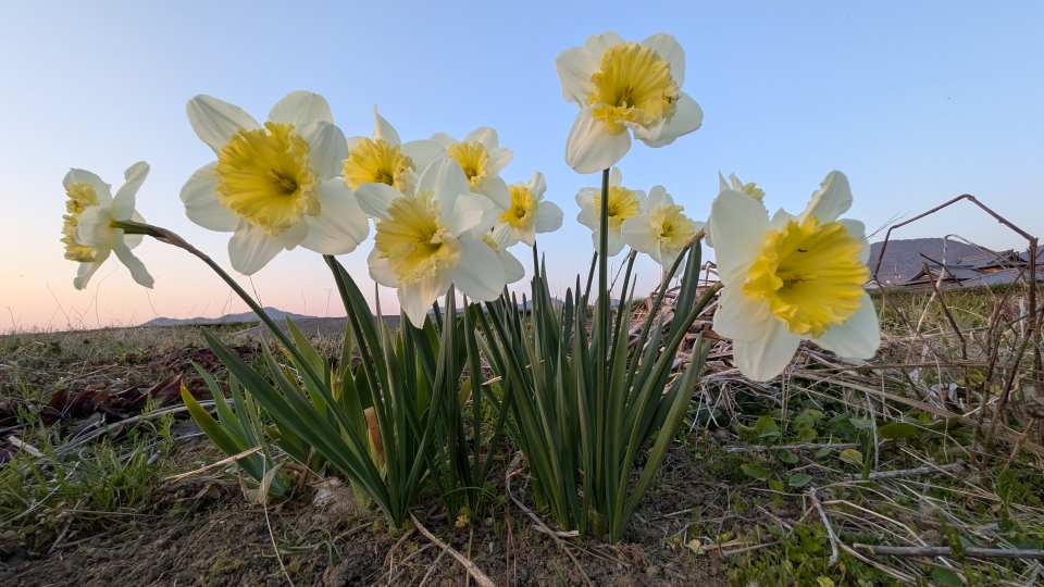 Pxl_20260321_085644454