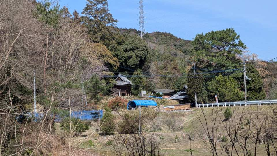 Pxl_20260305_042824774 Pxl_20260305_042824774