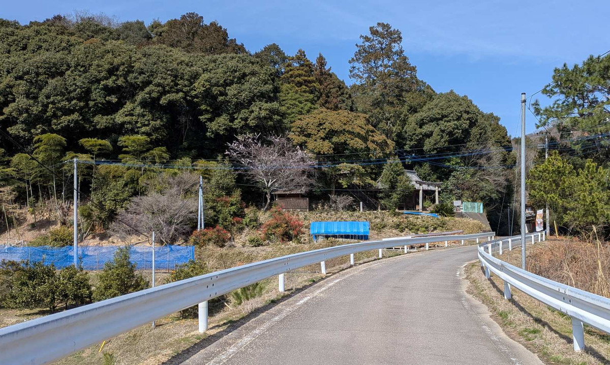 Pxl_20260305_043011083 Pxl_20260305_043011083