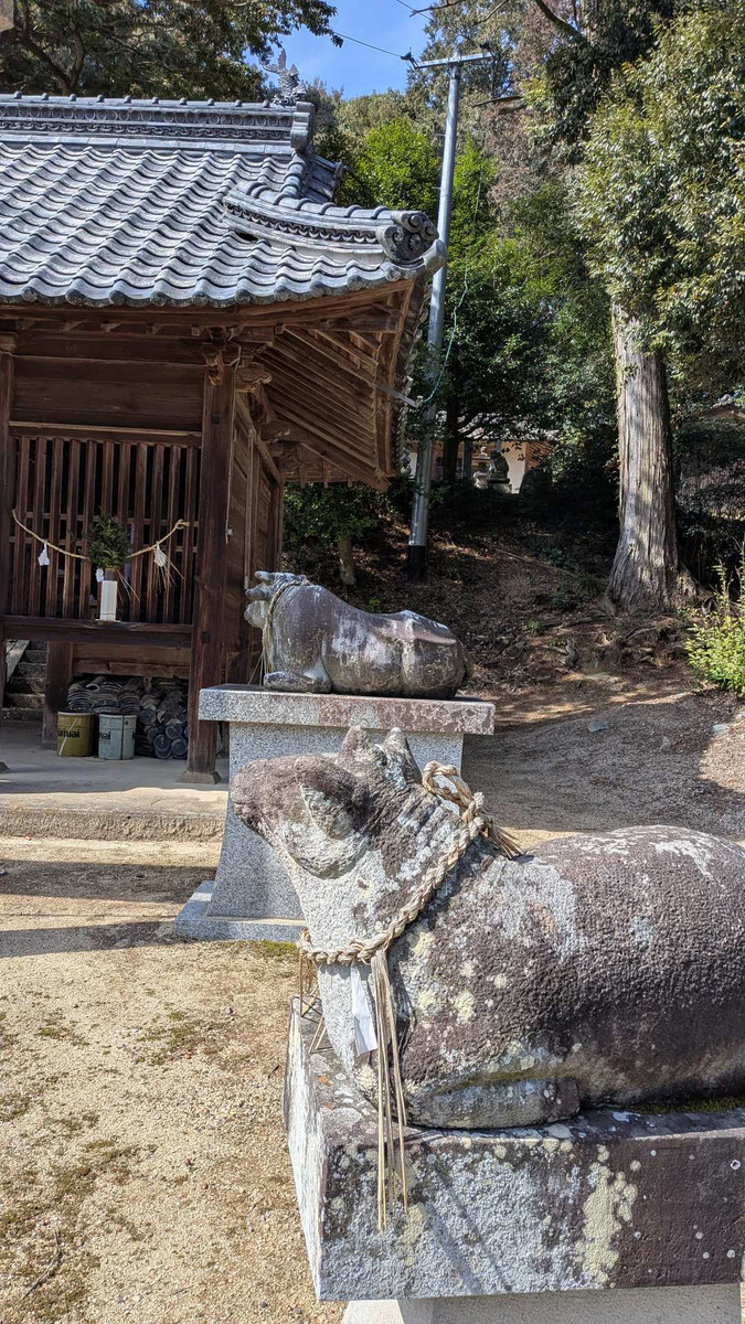 Pxl_20260305_043235519 Pxl_20260305_043235519