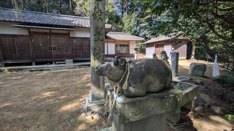 Pxl_20260305_043610050_1