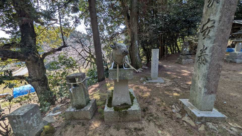 Pxl_20260305_043623315_1