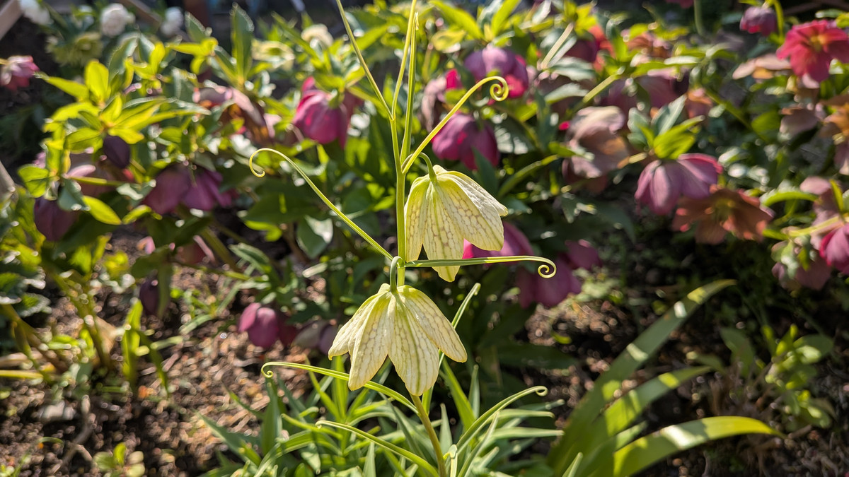 Pxl_20260324_002901656