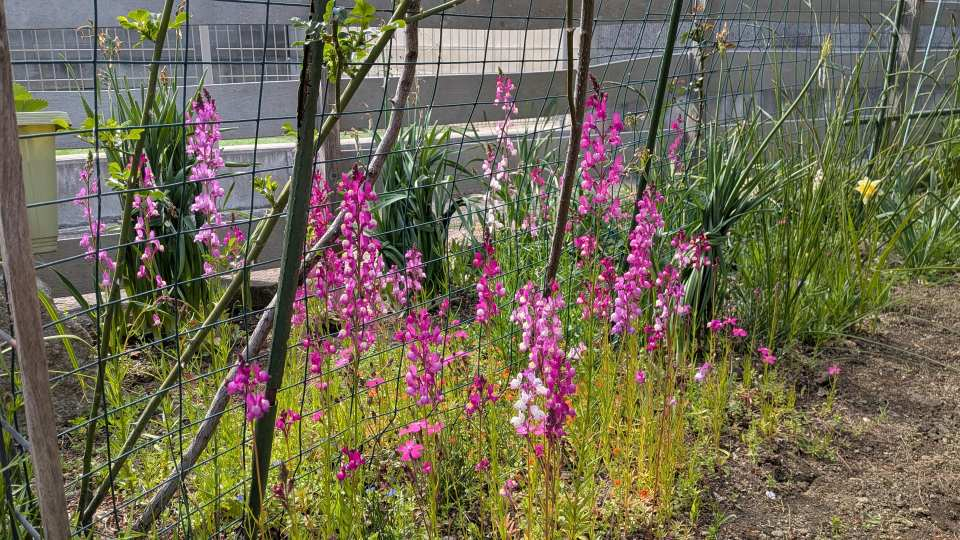 Pxl_20260324_053848081