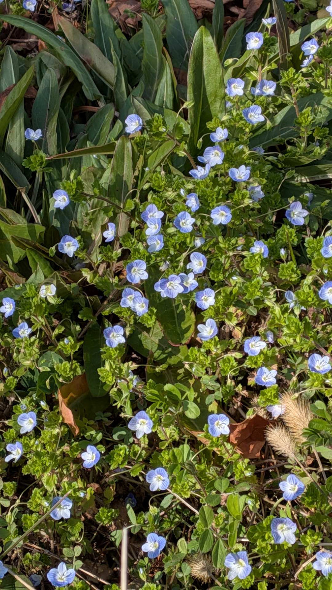 Pxl_20260305_052411153