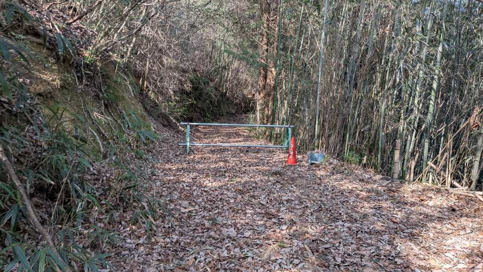 Pxl_20260305_053252327_1