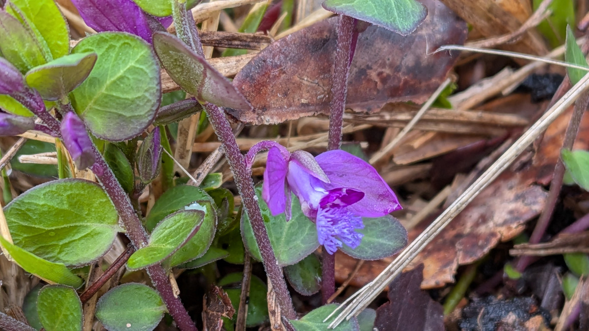 Pxl_20260326_012619187