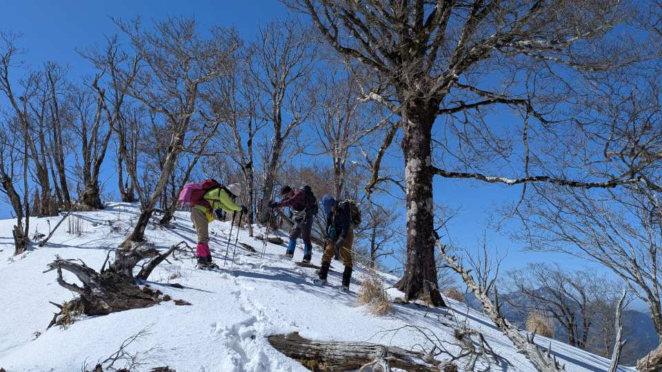 Pxl_20260311_021815425