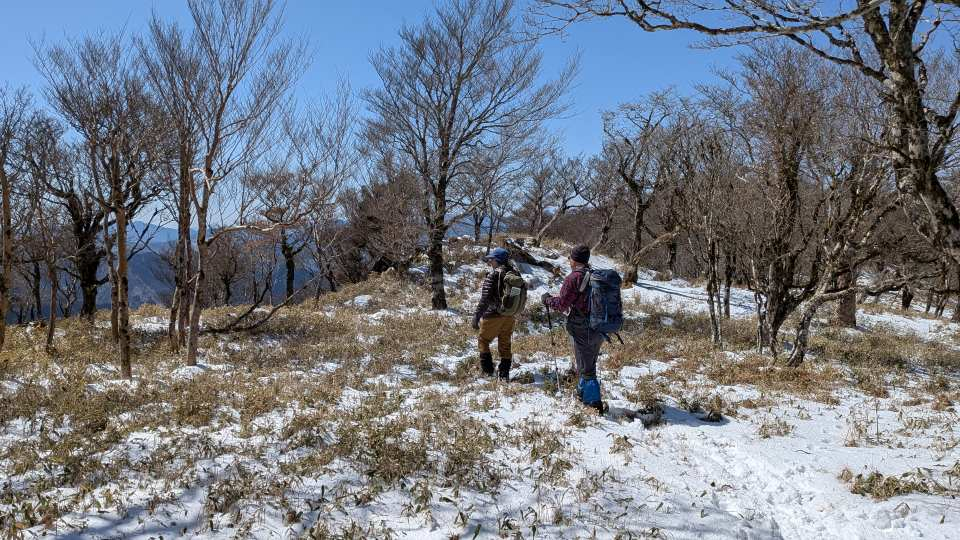 Pxl_20260311_032908539