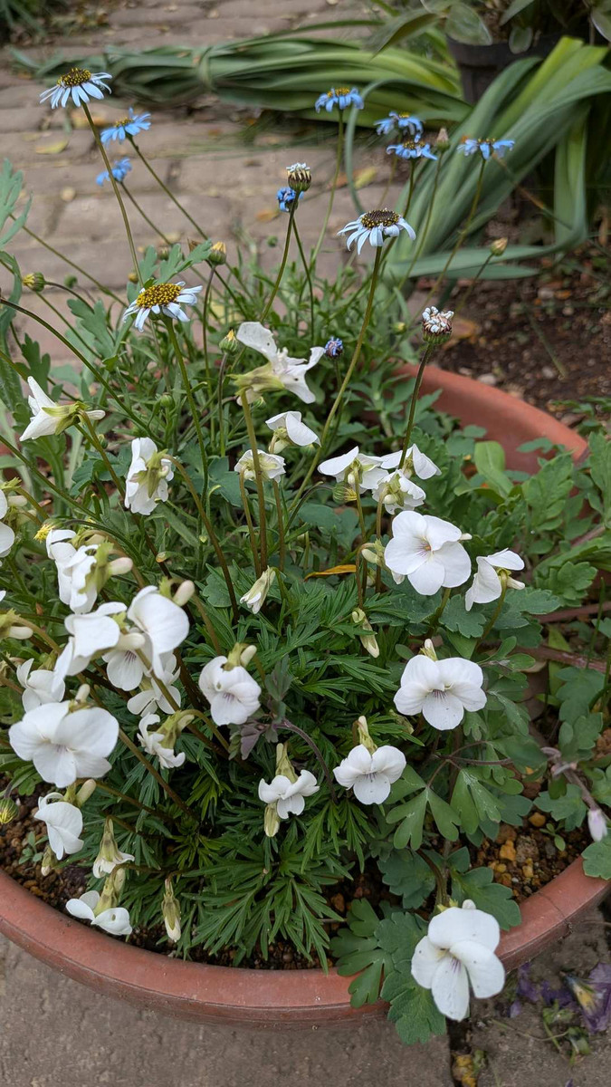 Pxl_20260331_054054637f