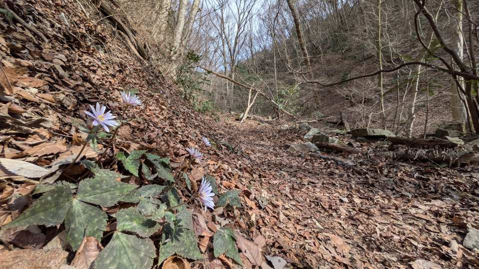 Pxl_20260317_053601126