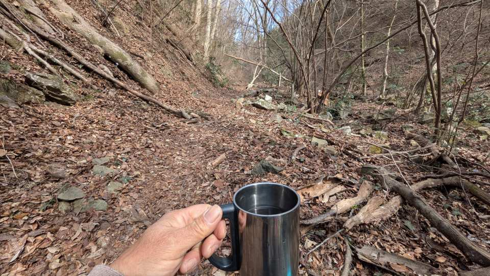 Pxl_20260317_054426462