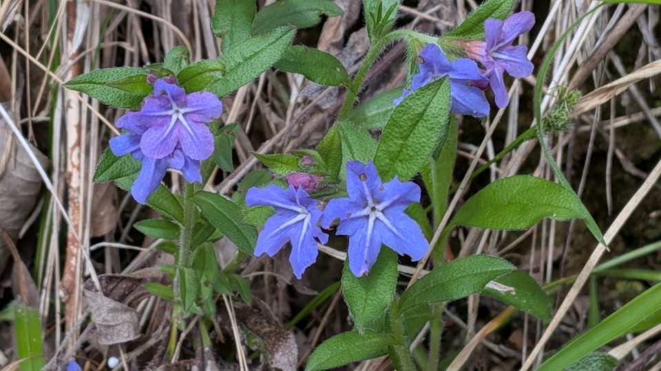 Pxl_20260407_054111335