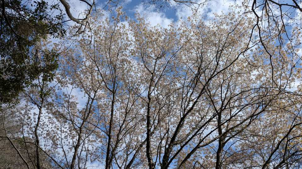 Pxl_20260407_055711997