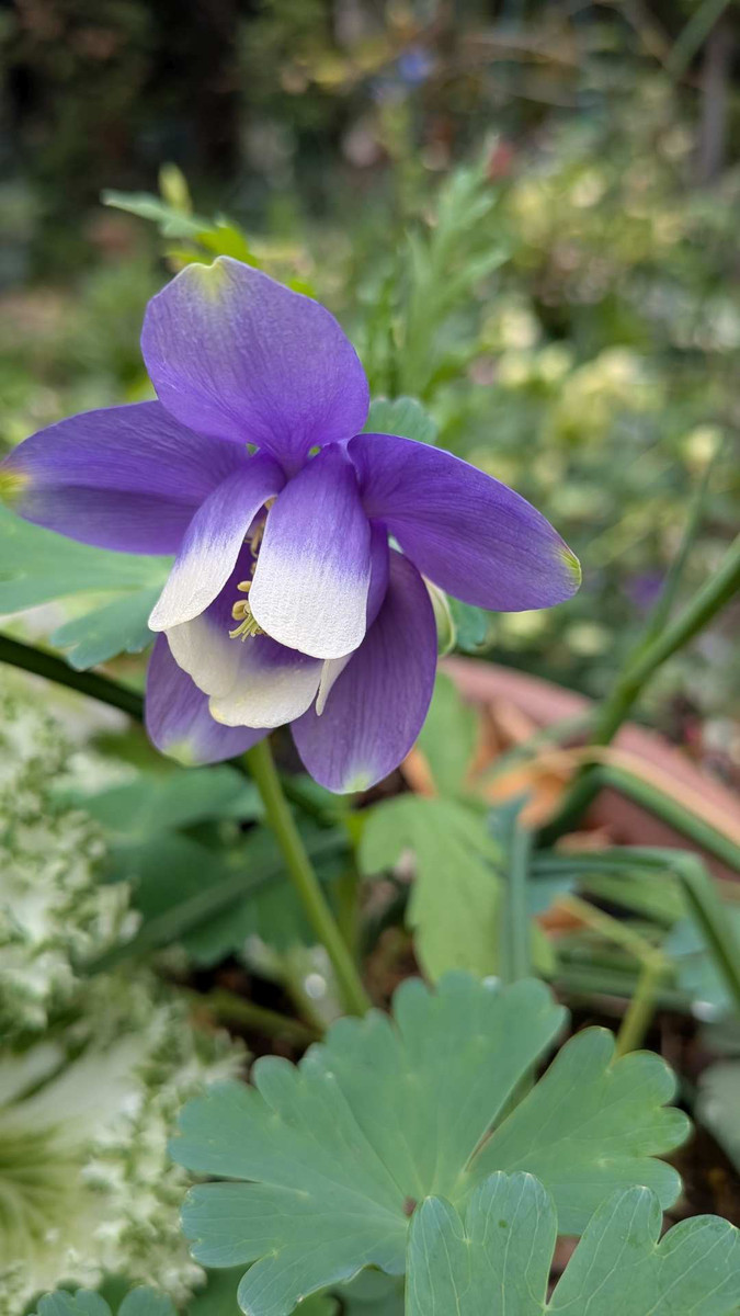 Pxl_20260410_055549024macro_focus