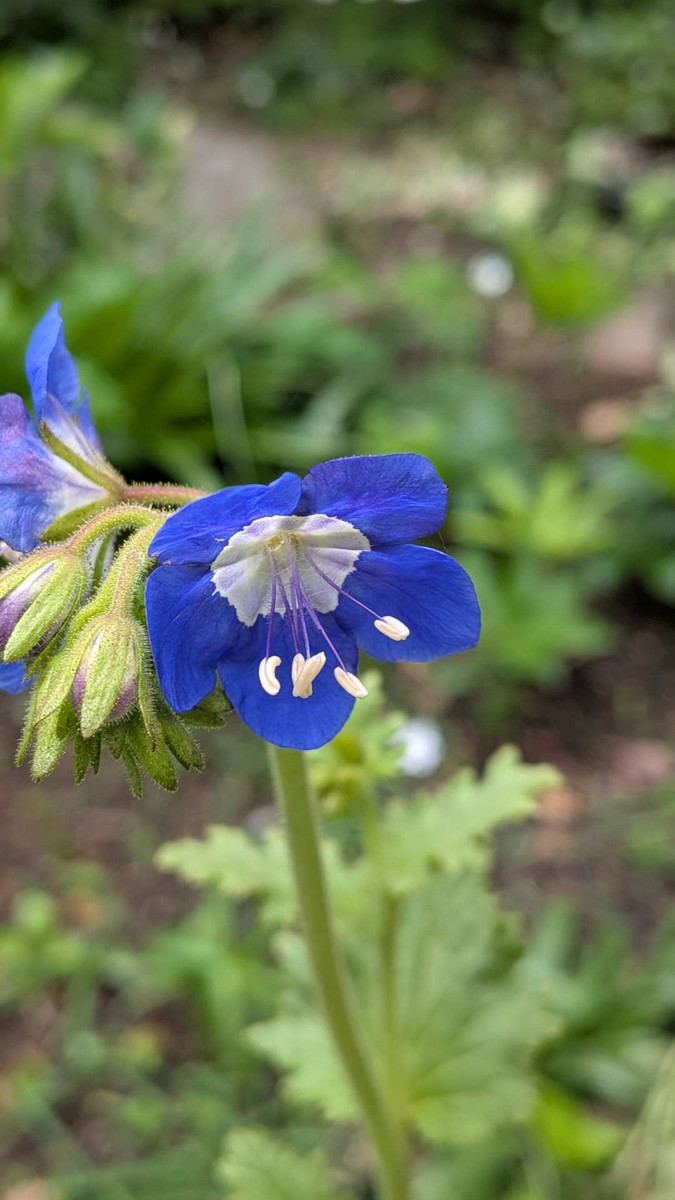 Pxl_20260410_055612268