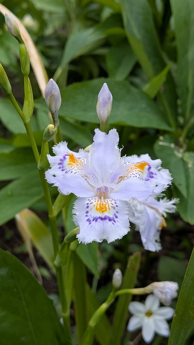 Pxl_20260410_064752466