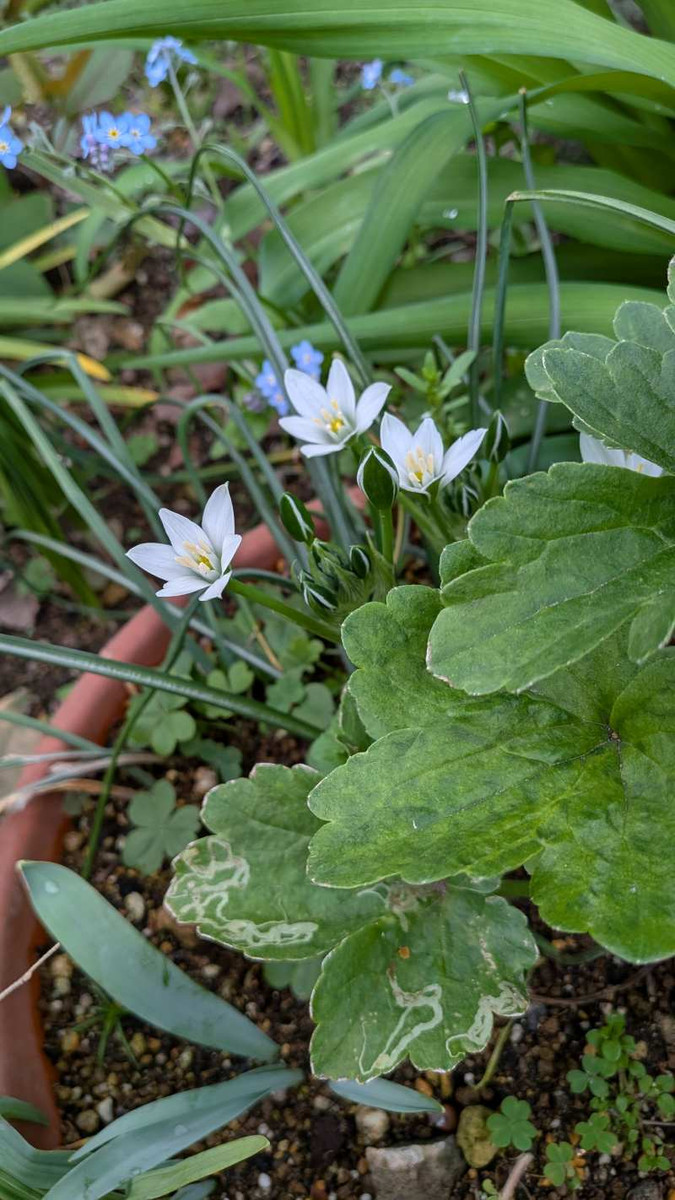 Pxl_20260410_074957458