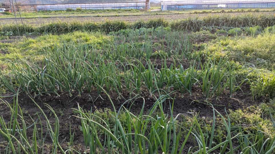 Pxl_20260411_084119511 Pxl_20260411_084119511