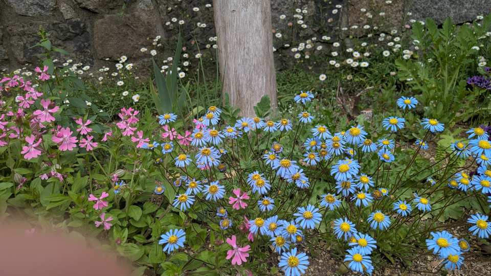 Pxl_20260414_035027695kinngu