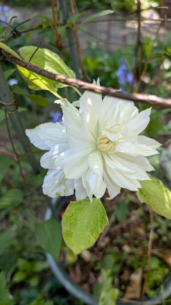 Pxl_20260418_055750234