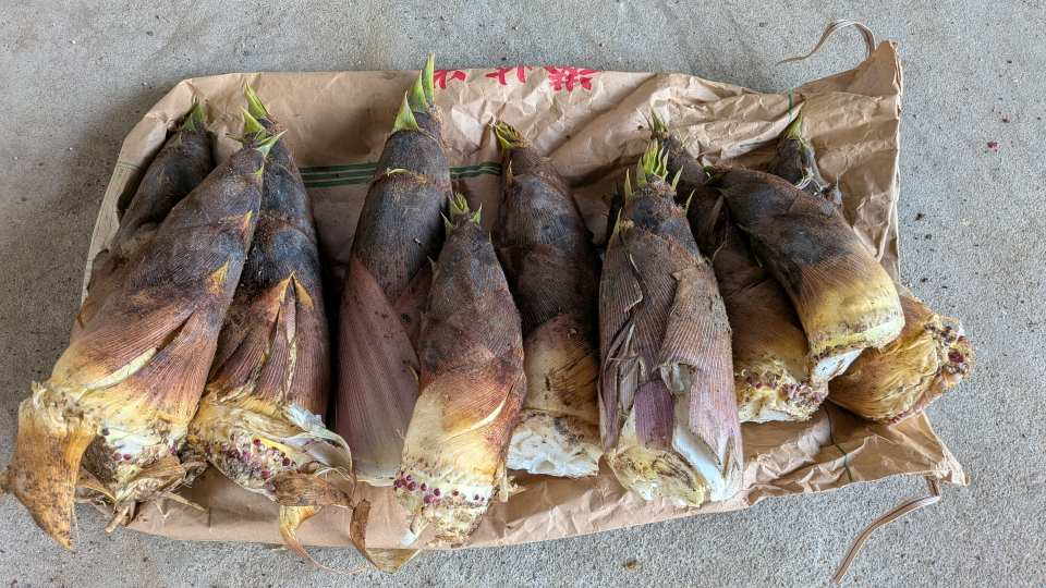 Pxl_20260418_082823935