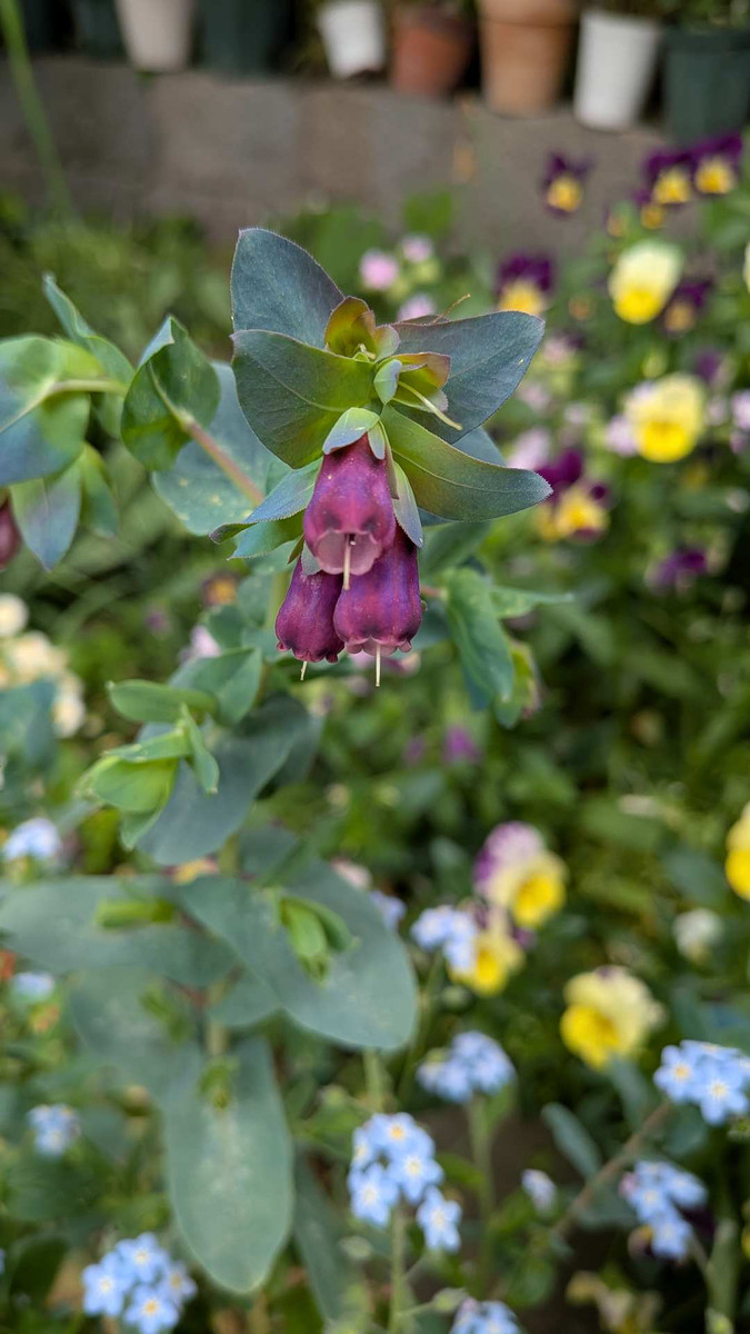 Pxl_20260419_015918326