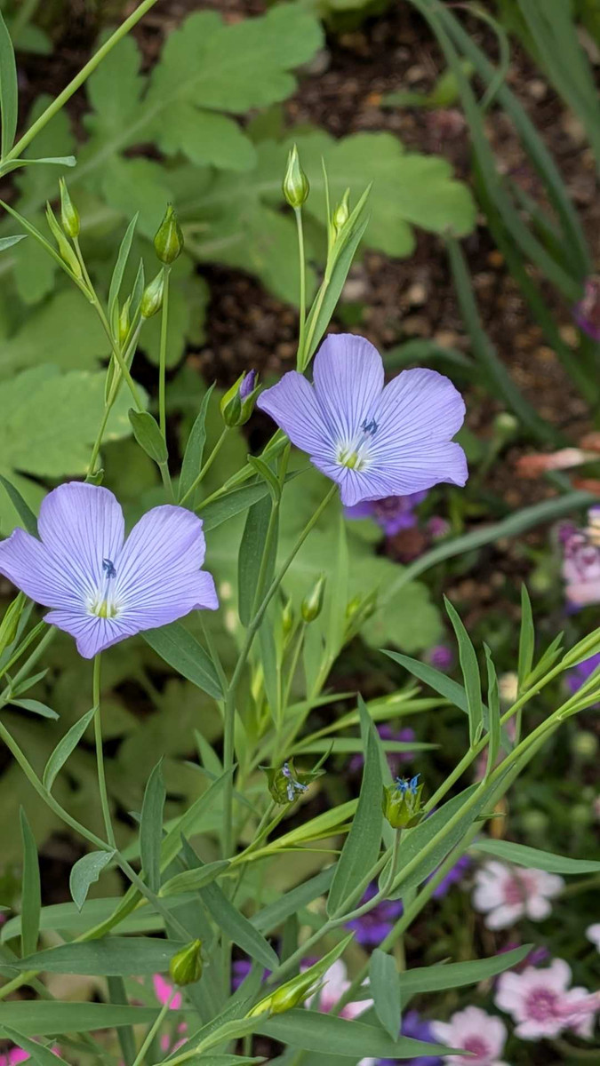 Pxl_20260419_024841837