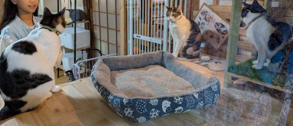 Pxl_20260419_082906293edit