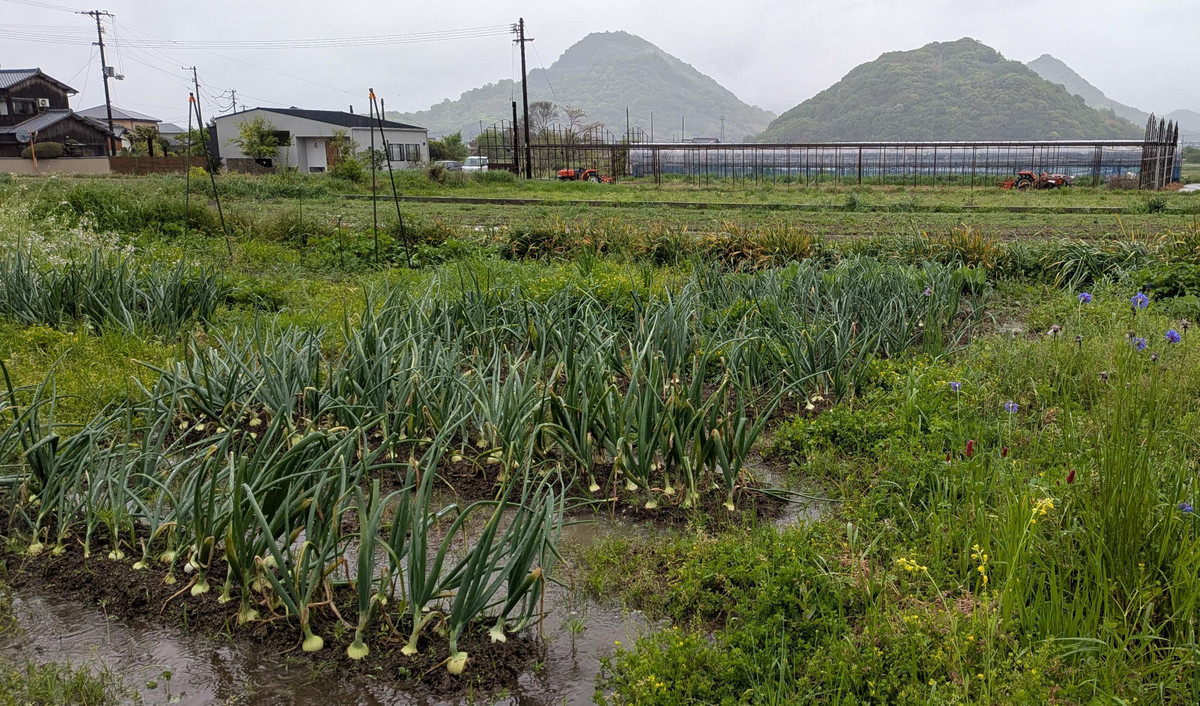 Pxl_20260423_075633313