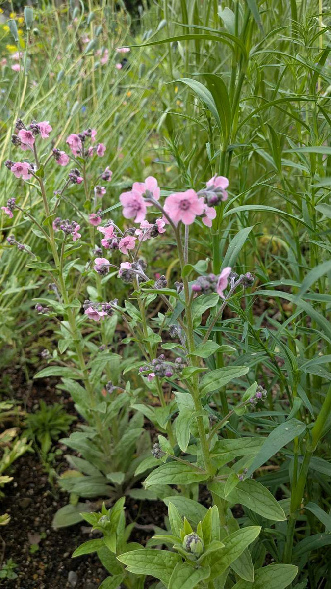 Pxl_20260424_070223688