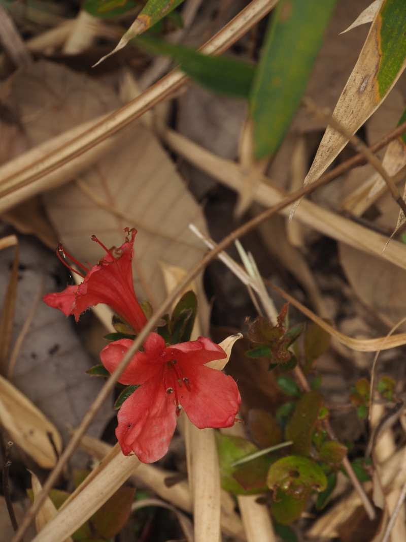 P3291447