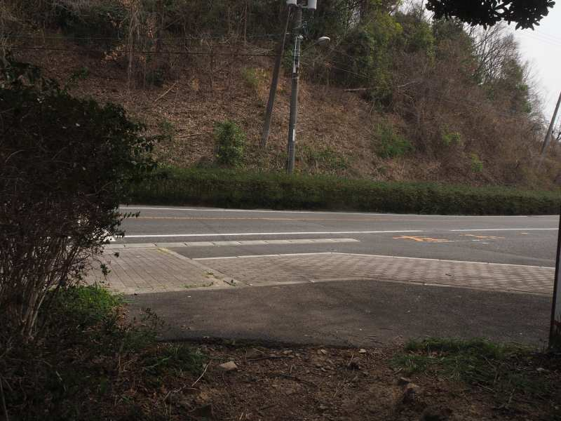P3291456