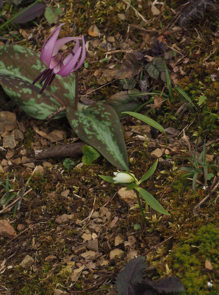 P3291557