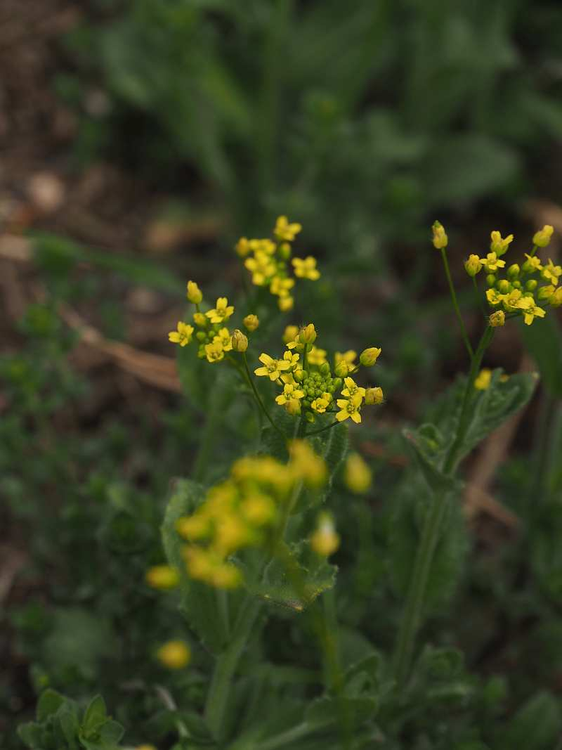 P3291513