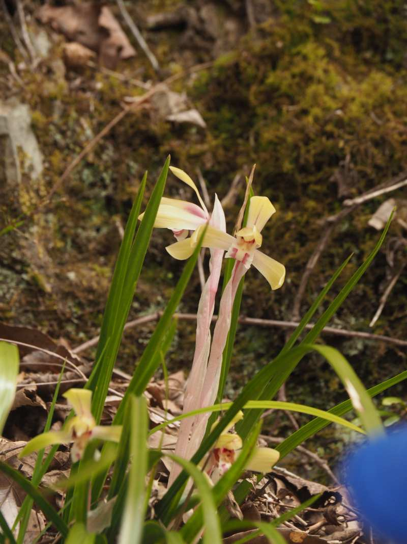 P3291533
