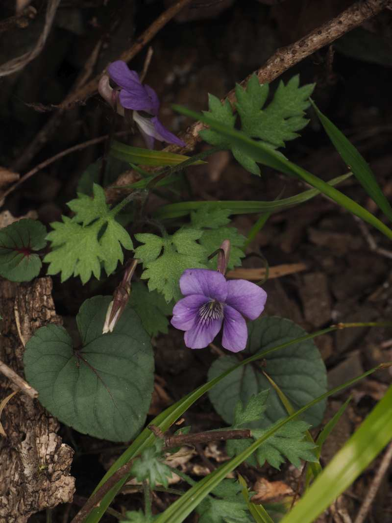 P3291535