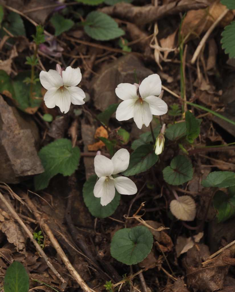 P3291541
