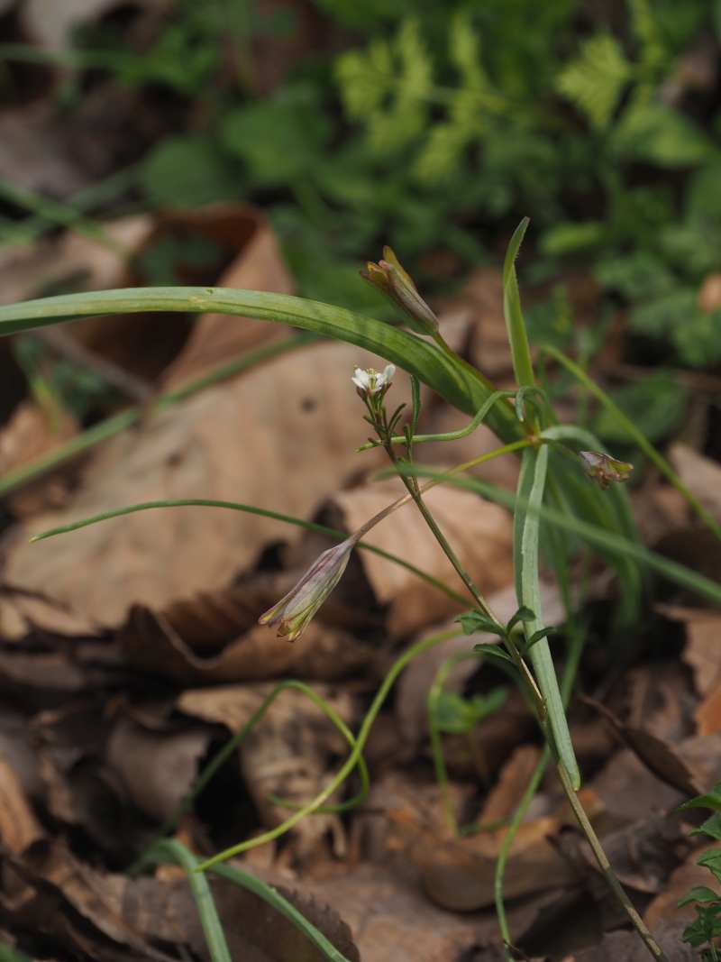P3291585