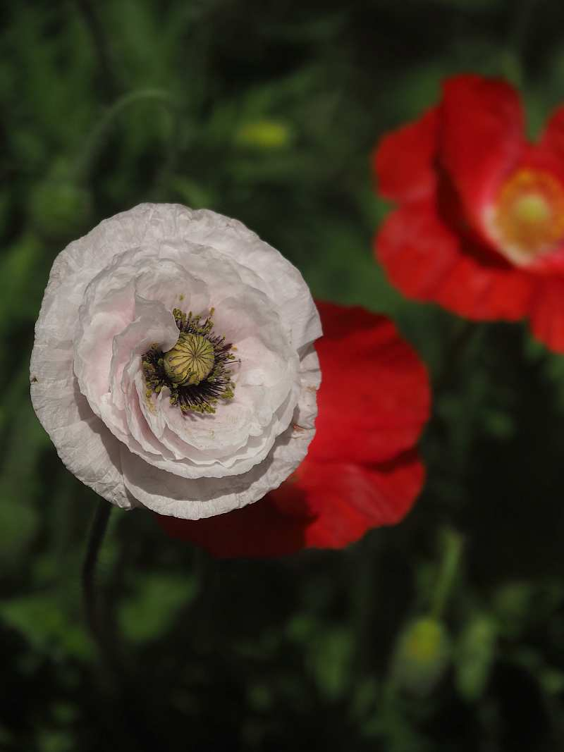 P5044553