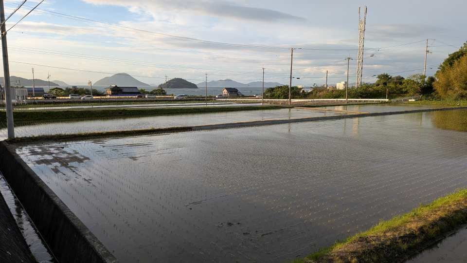 Pxl_20260504_090604290