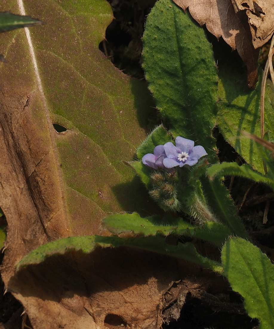 P3291616