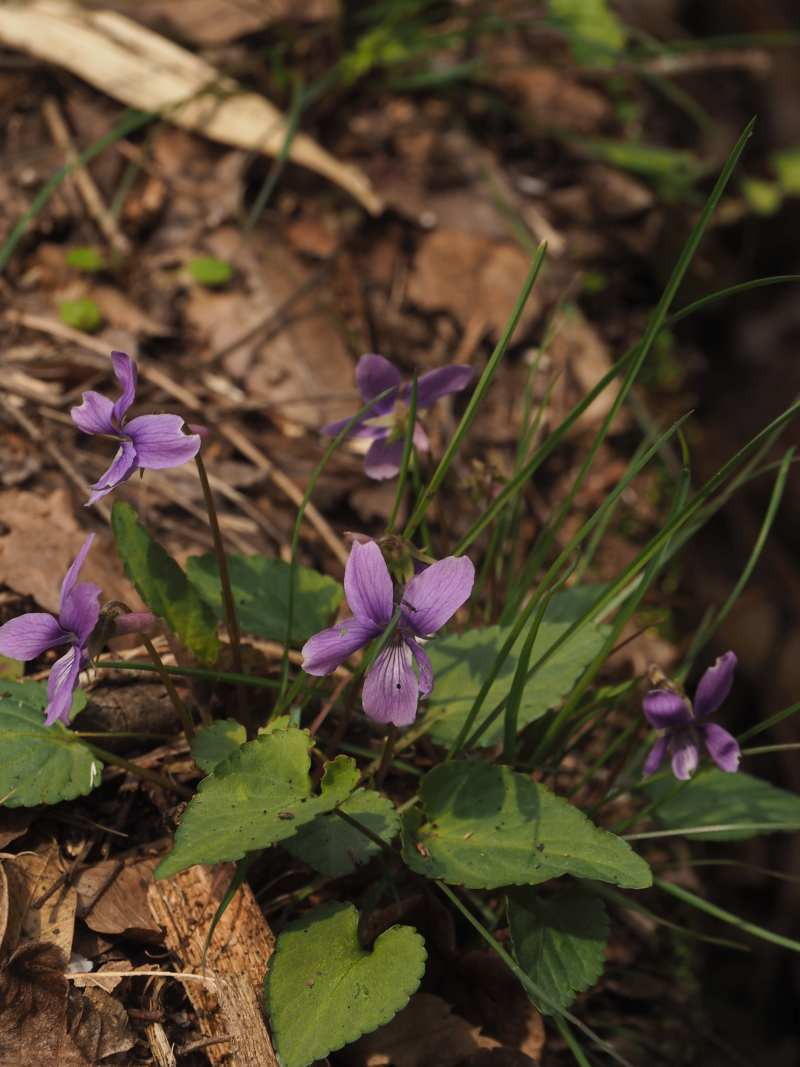 P3291620