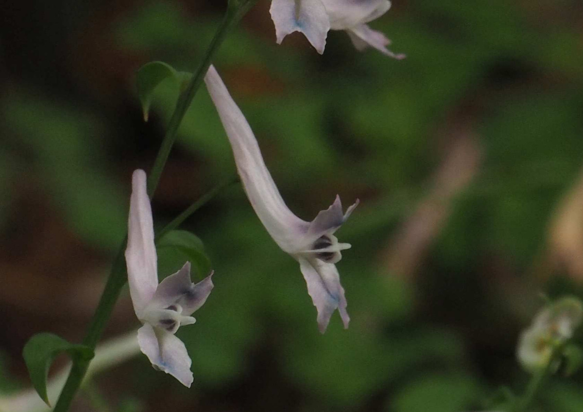 P3291634