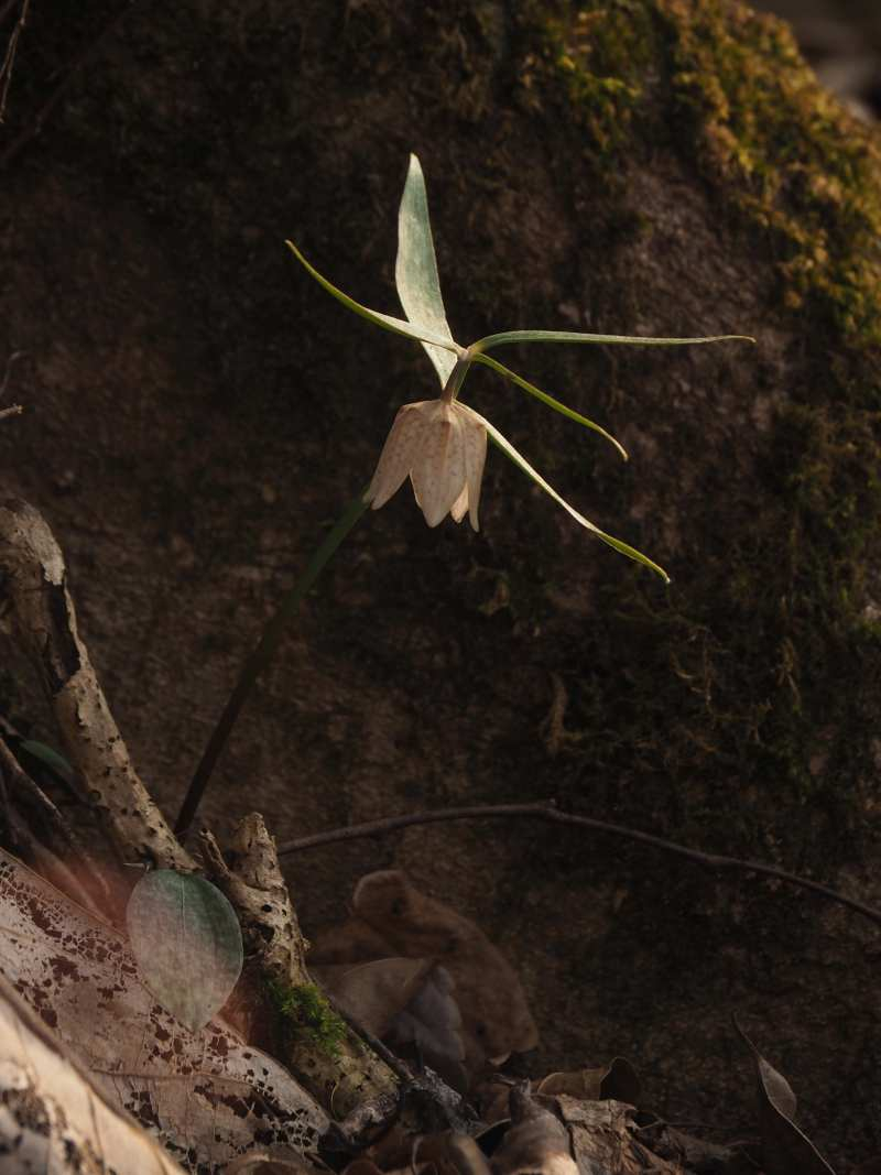 P3291657