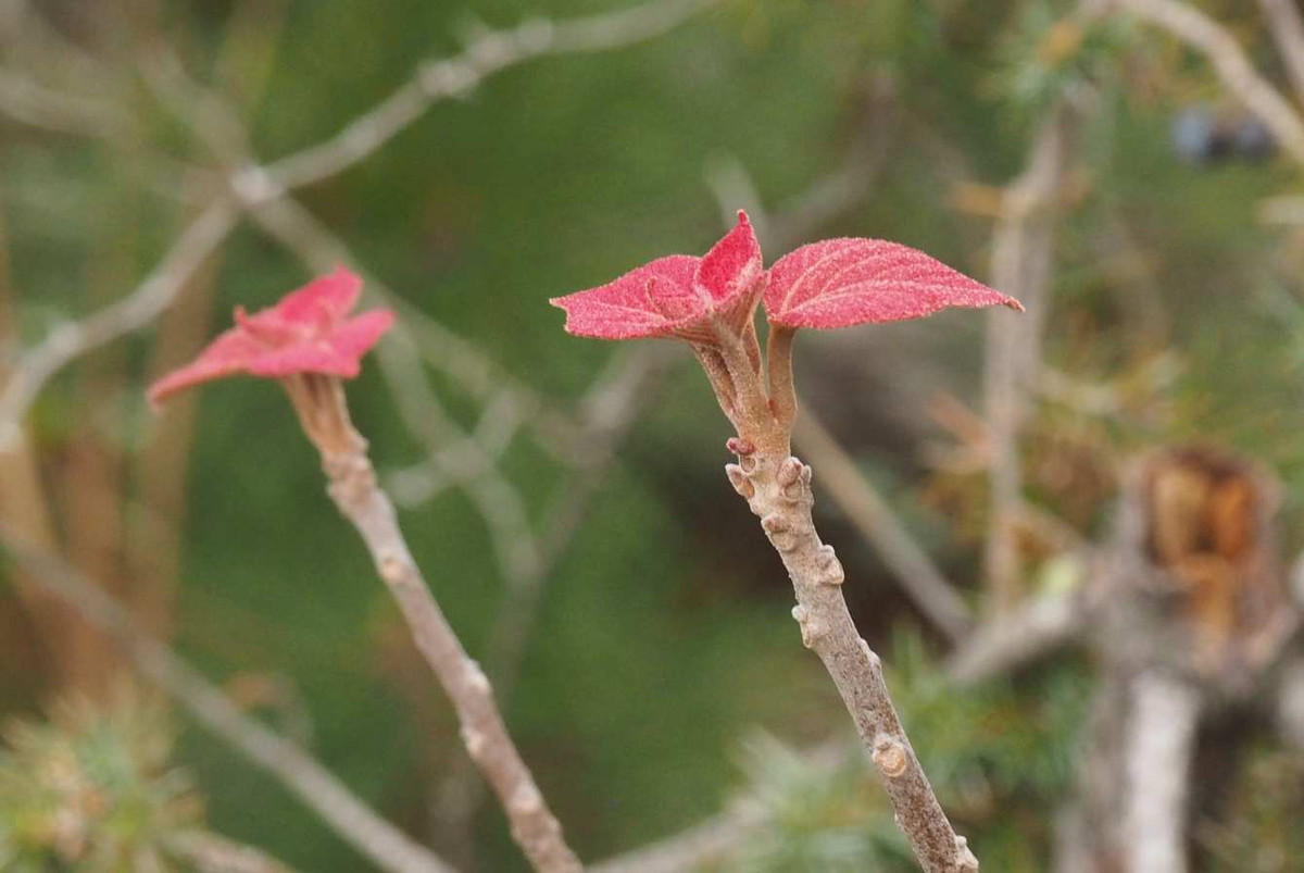 P4021857