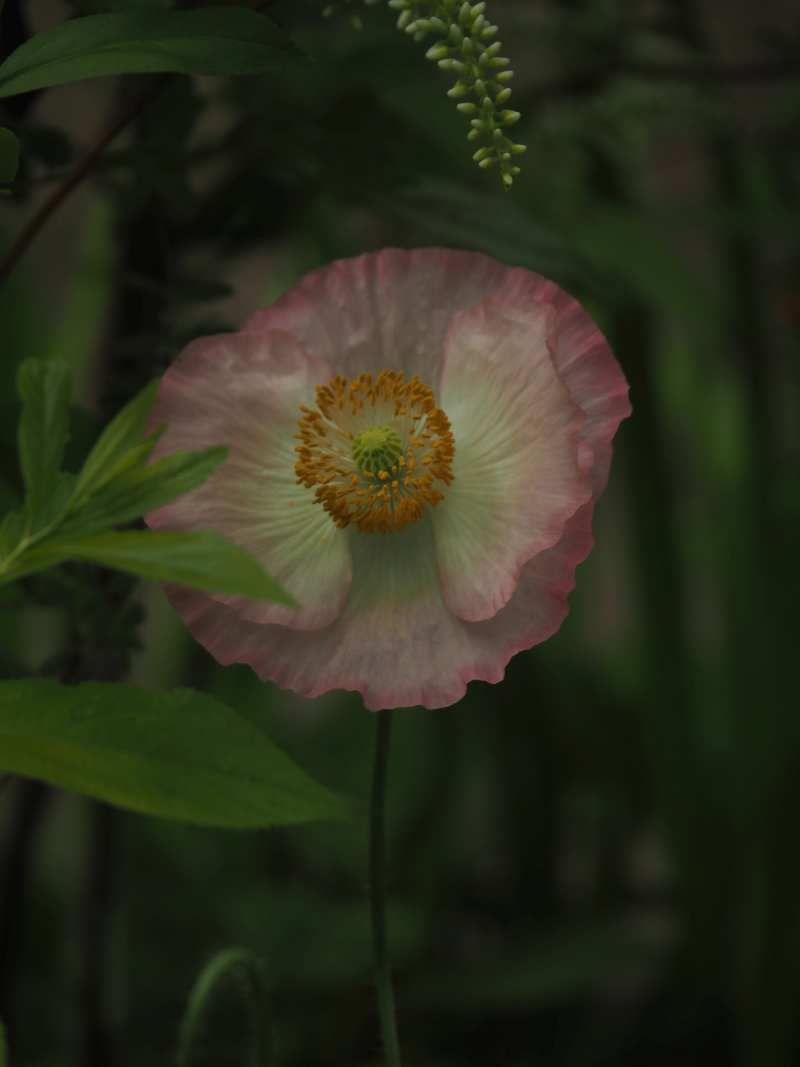 P5084986