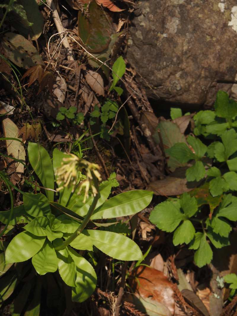 P4032006