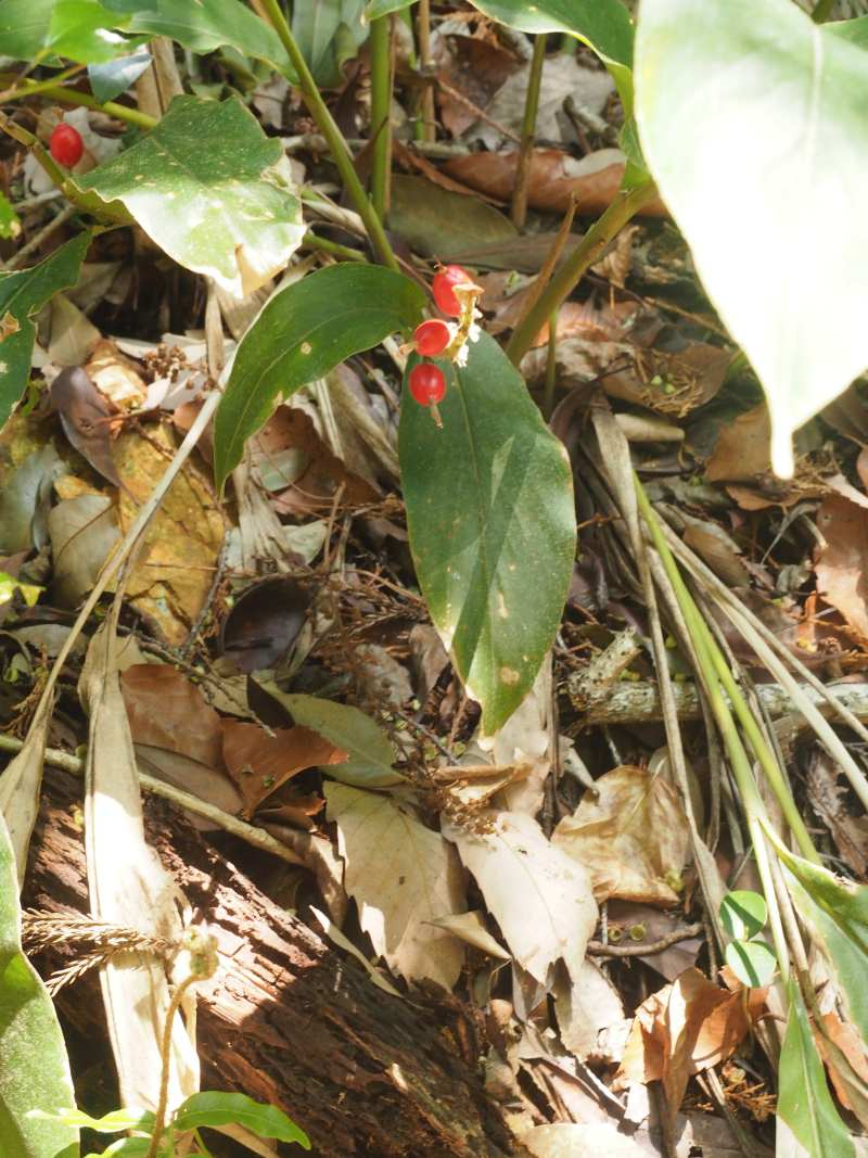 P4032030